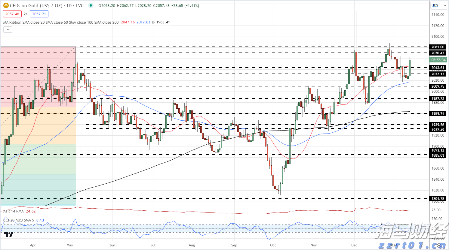 世界首例!广东医生将基因编辑猪肺移植到人体