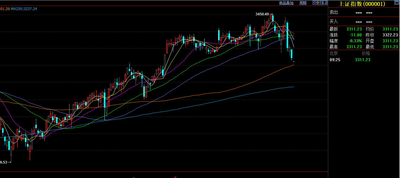 解锁新市场!梅州观赏鱼 “游” 进马来西亚