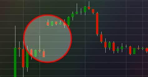 上海嘉定为“美丽事业”开出监管“处方”