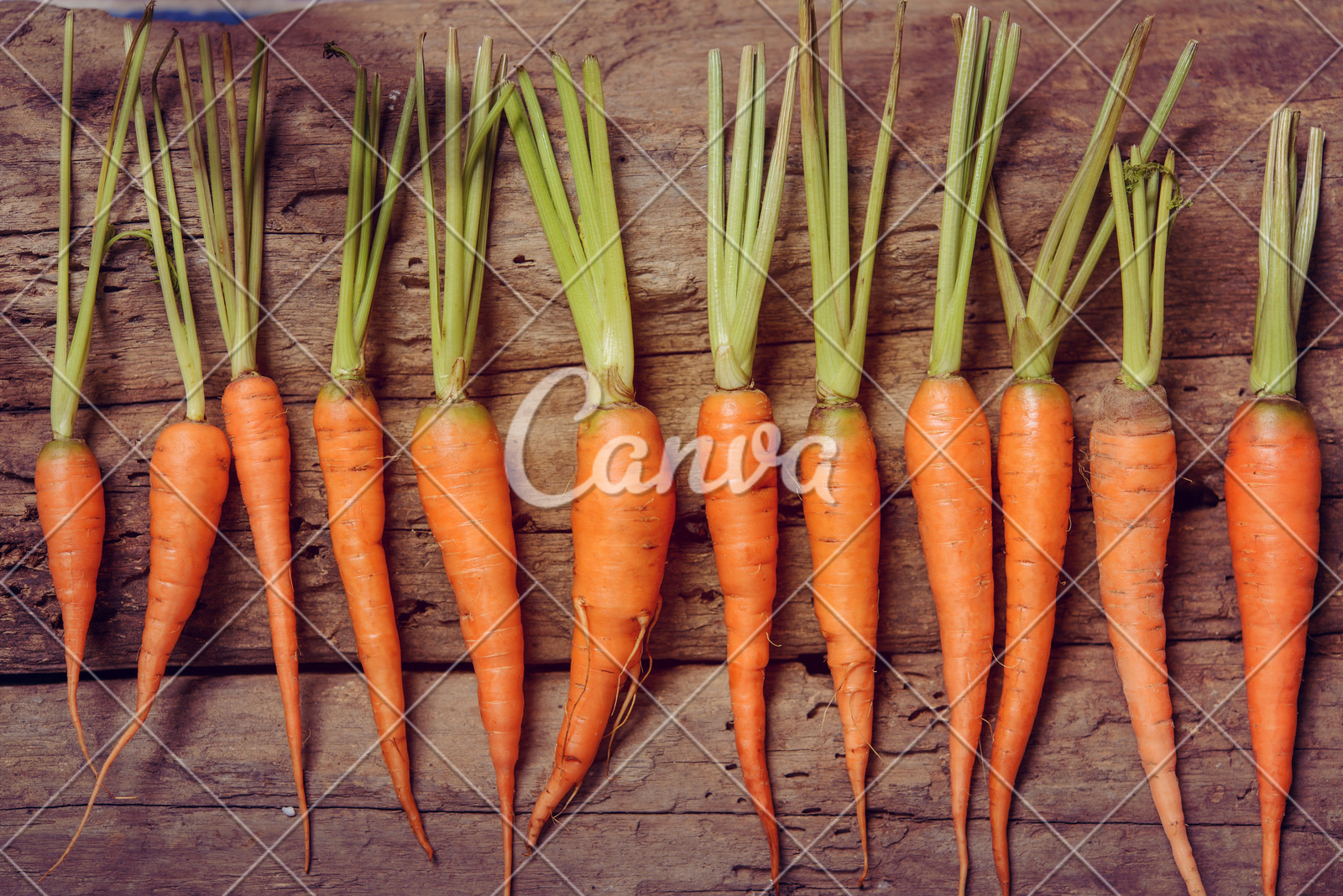 泰康人寿安徽分公司提醒您:反诈必修课之机票退改签背后的诈骗套路