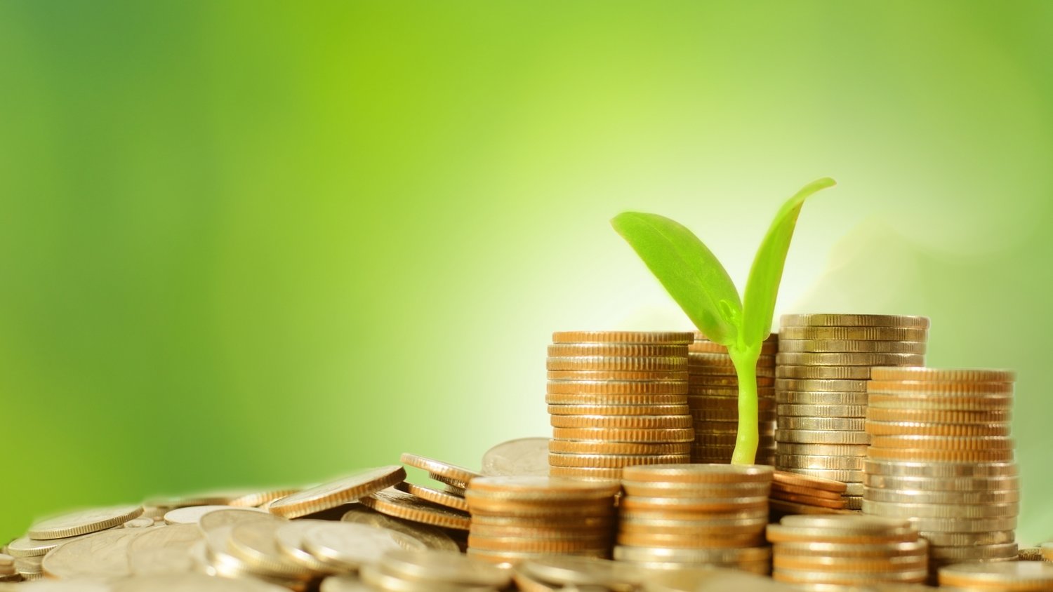 今天中考迎收官 明起雷雨渐退